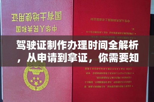 新罗驾驶证制作办理时间全解析，从申请到拿证，你需要知道的一切