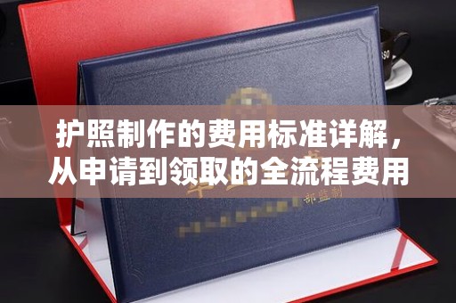 新罗护照制作的费用标准详解，从申请到领取的全流程费用指南