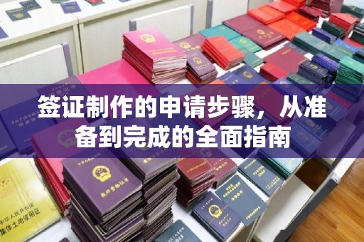 新罗签证制作的申请步骤，从准备到完成的全面指南