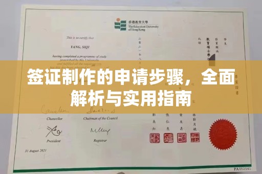 新罗签证制作的申请步骤，全面解析与实用指南