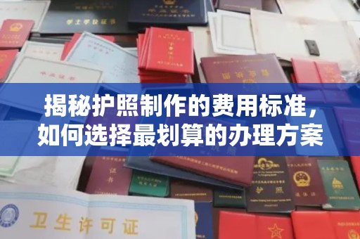新罗揭秘护照制作的费用标准，如何选择最划算的办理方案？