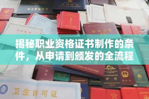 新罗揭秘职业资格证书制作的条件，从申请到颁发的全流程解析
