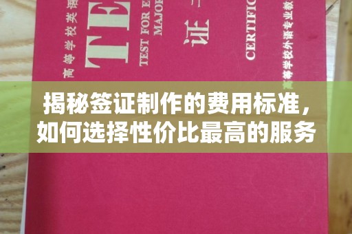 新罗揭秘签证制作的费用标准，如何选择性价比最高的服务？